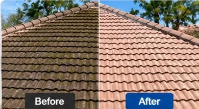 Roof Cleaning before and after